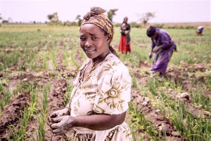 Escorts Mek i, Ethiopia — Local Companions