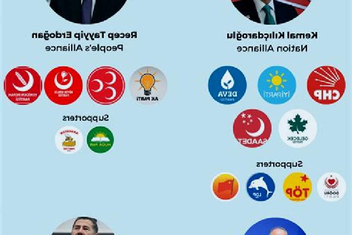 Escorts Mengen, Turkey — Local Companions