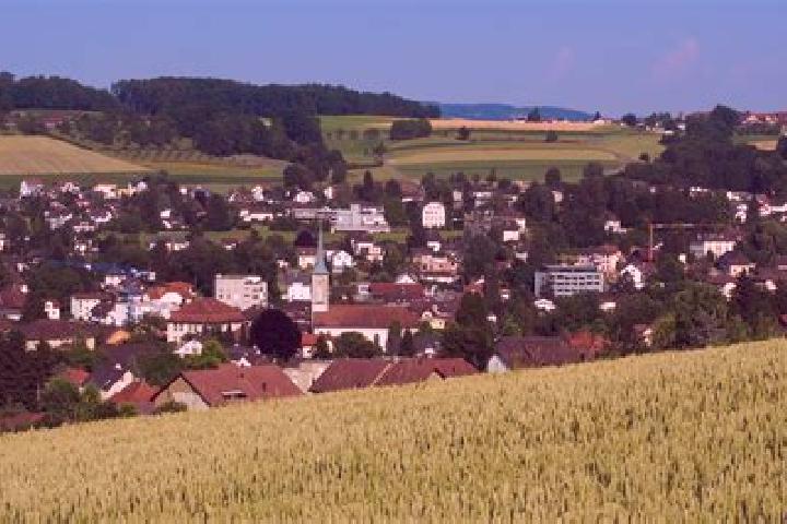 Escorts Menziken, Switzerland — Local Companions