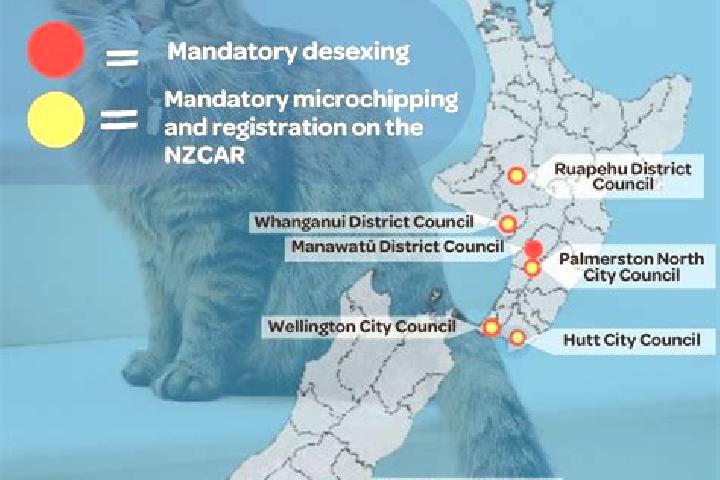 Escorts Merrilands, New Zealand — Local Companions