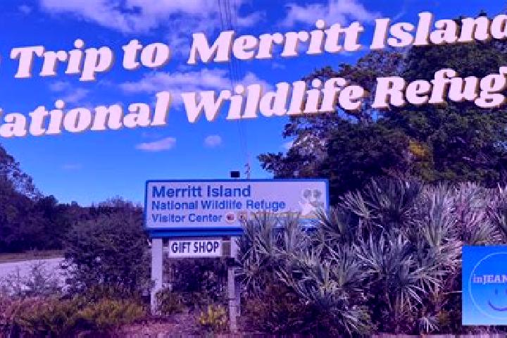 Escorts Merritt Island, United States — Local Companions