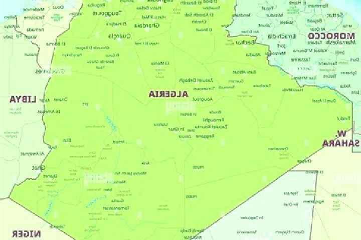 Escorts Meskiana, Algeria — Local Companions