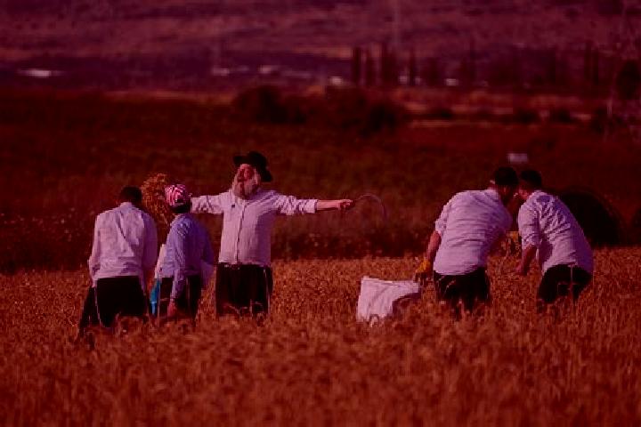 Escorts Mevo Horon, Palestine — Local Companions