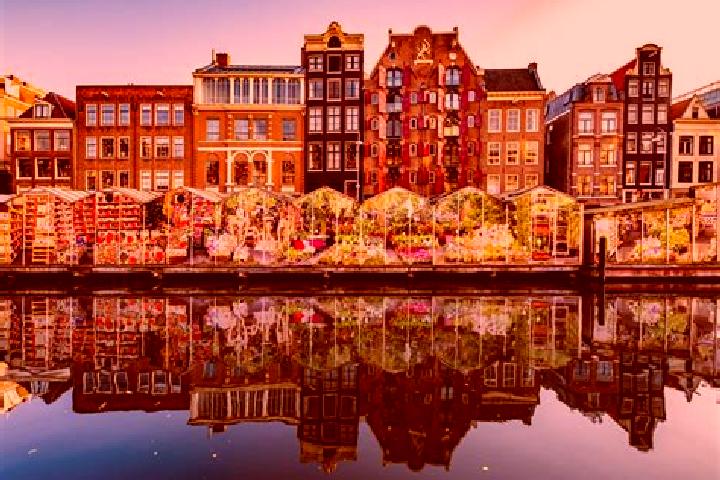 Escorts Middenbeemster, Netherlands — Local Companions