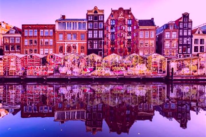Escorts Midsland, Netherlands — Local Companions