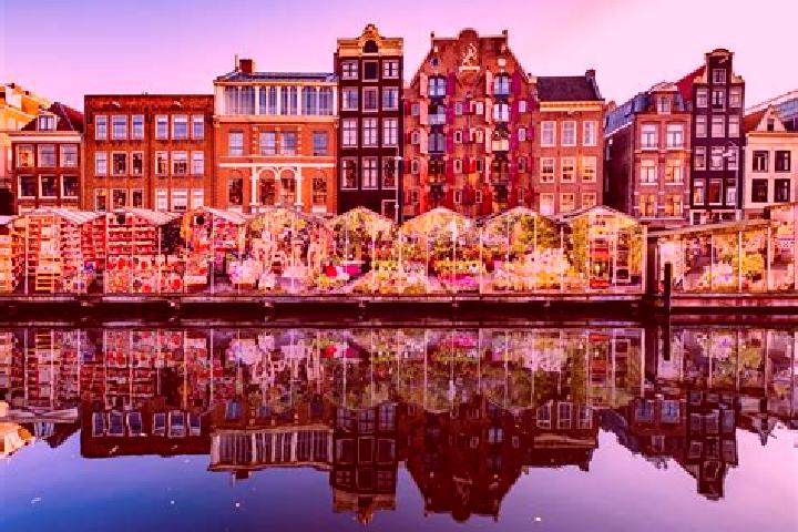 Escorts Midwoud, Netherlands — Local Companions