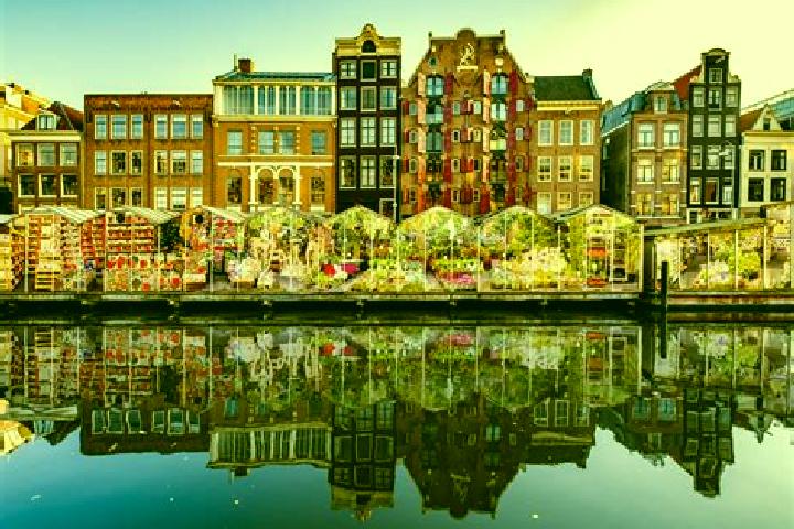 Escorts Mierlo, Netherlands — Local Companions