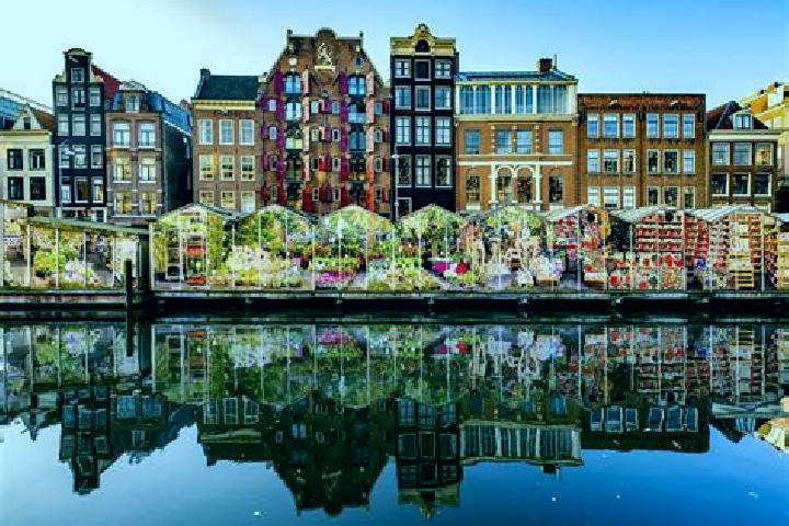 Escorts Mijdrecht, Netherlands — Local Companions