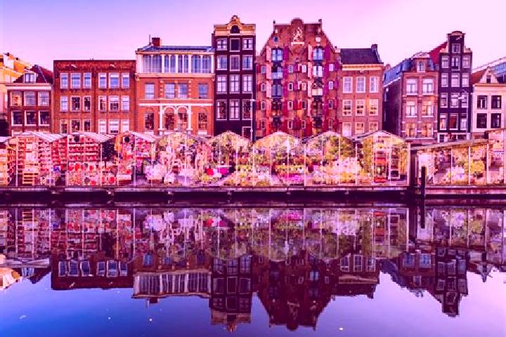 Escorts Mildam, Netherlands — Local Companions