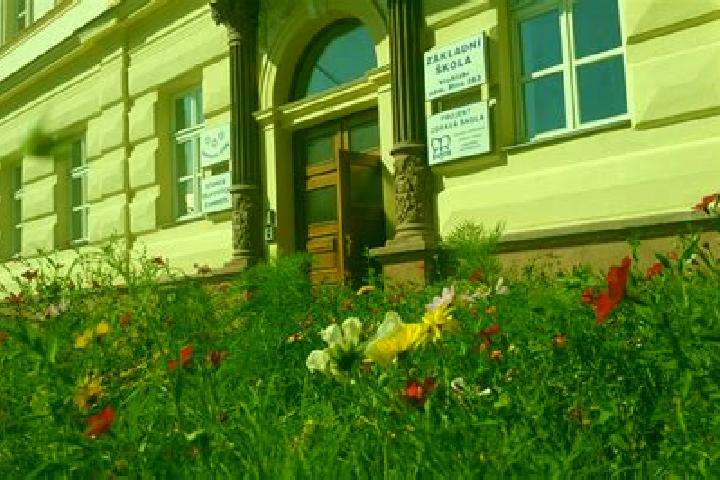 Escorts Miletin, Czech Republic — Local Companions