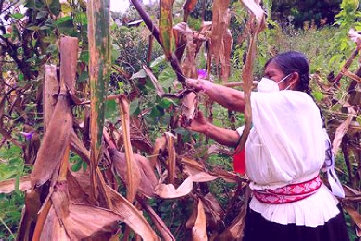 Escorts Milpa Alta, Mexico — Local Companions