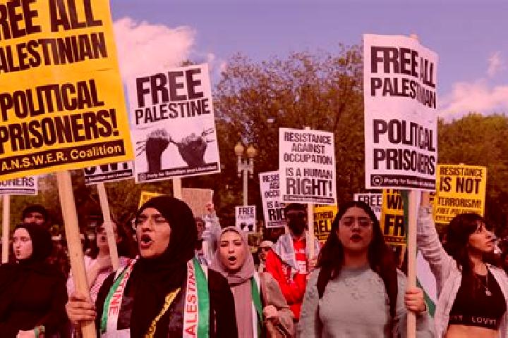 Escorts Misliyah, Palestine — Local Companions