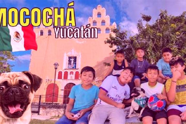 Escorts Mococha, Mexico — Local Companions