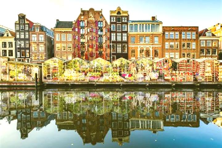 Escorts Moesel, Netherlands — Local Companions