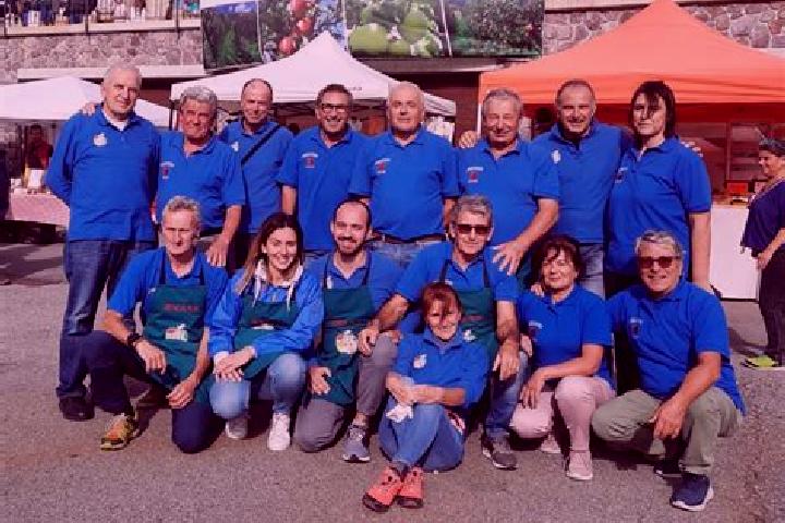 Escorts Moio de Calvi, Italy — Local Companions