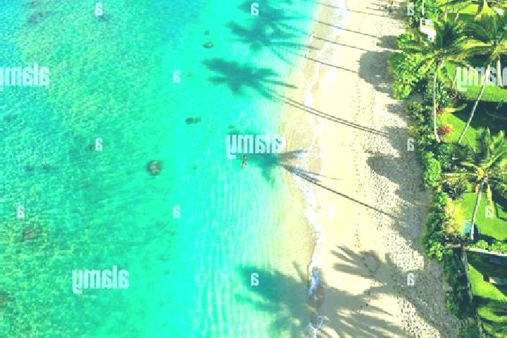 Escorts Mokuleia, United States — Local Companions