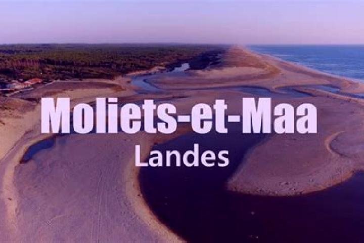 Escorts Moliets-et-Maa, France — Local Companions