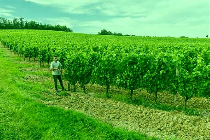Escorts Montalzat, France — Local Companions