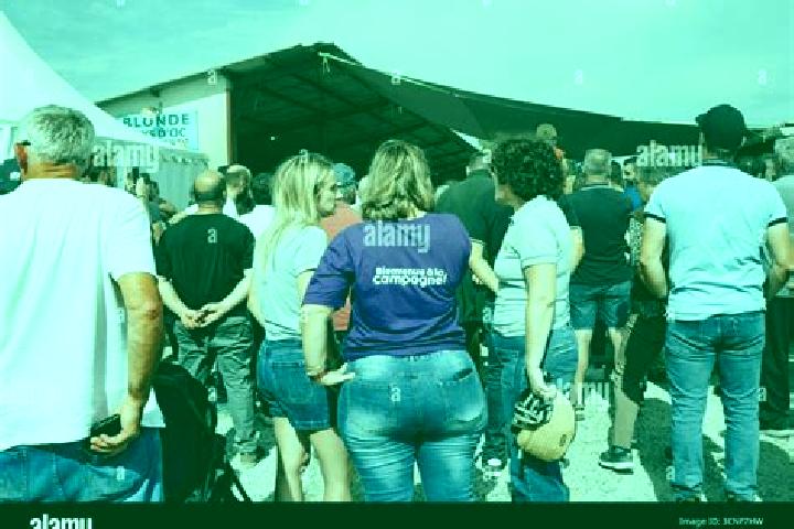 Escorts Montbeton, France — Local Companions