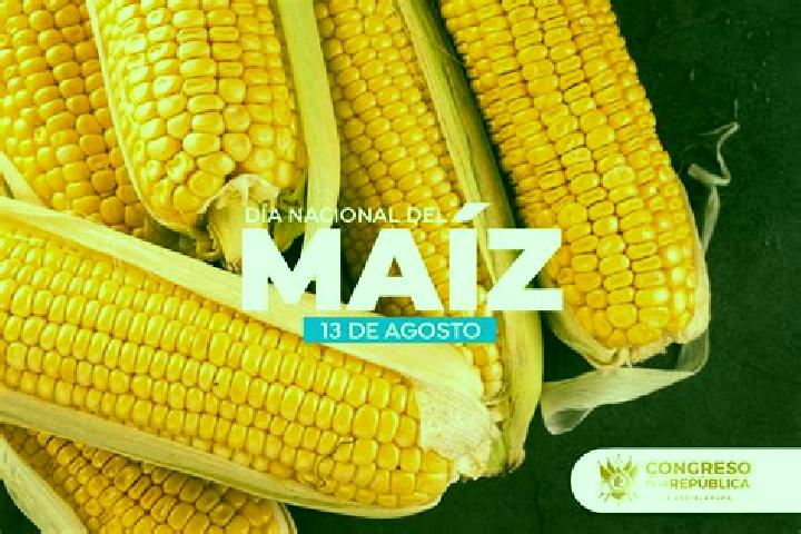 Escorts Monte Maiz, Argentina — Local Companions