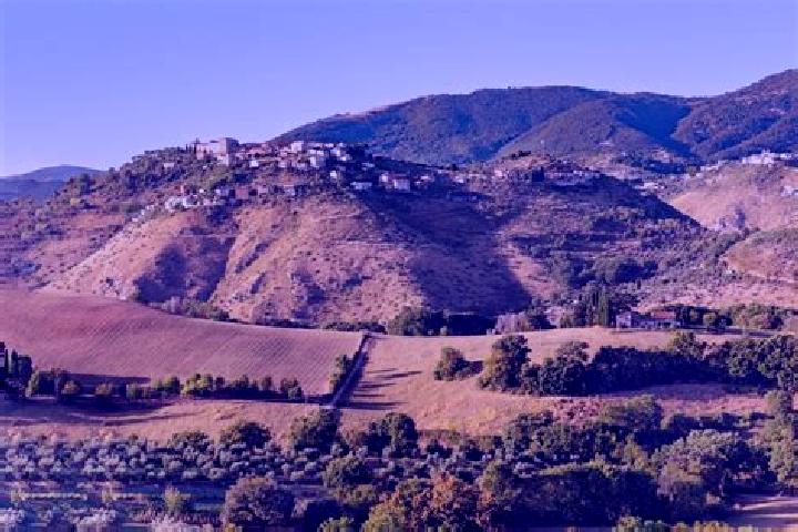 Escorts Monte San Giovanni in Sabina, Italy — Local Companions