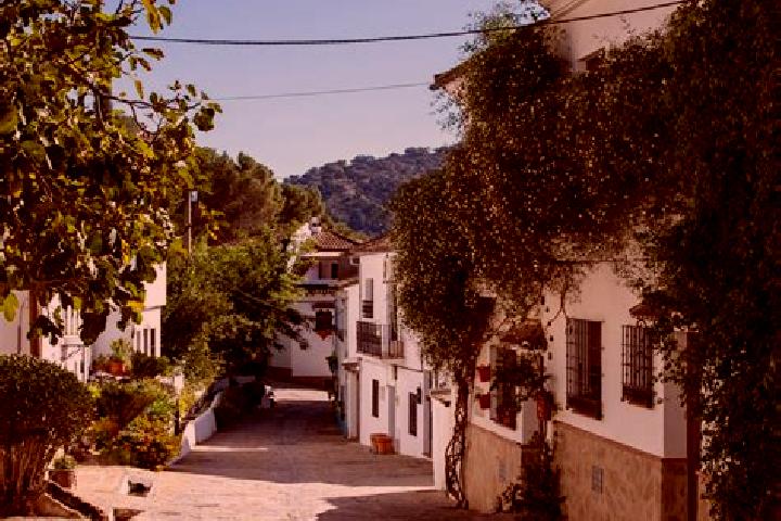 Escorts Montecorto, Spain — Local Companions