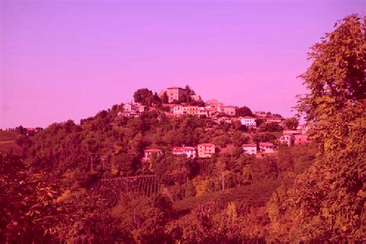 Escorts Monticelli Pavese, Italy — Local Companions
