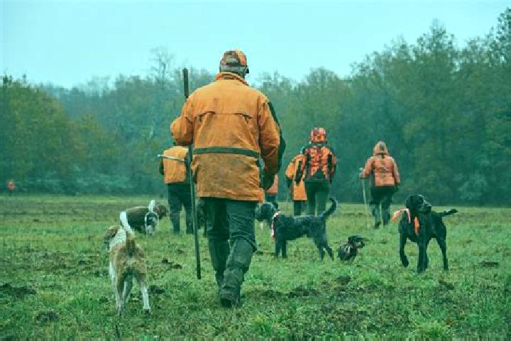 Escorts Mortree, France — Local Companions