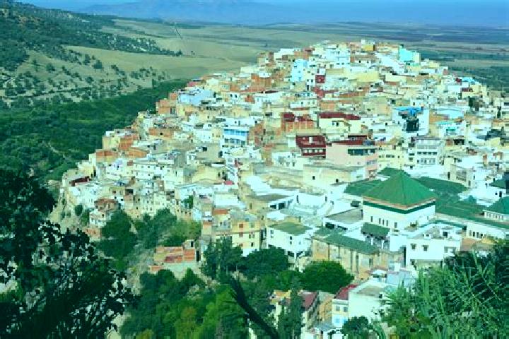 Escorts Moulay Driss Zerhoun, Morocco — Local Companions