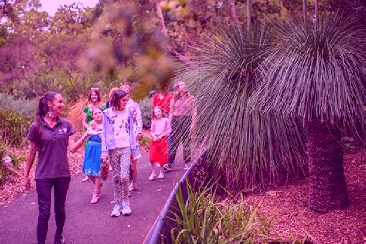 Escorts Mount Annan, Australia — Local Companions