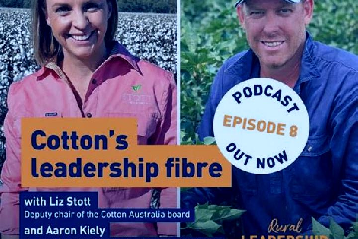 Escorts Mount Cotton, Australia — Local Companions