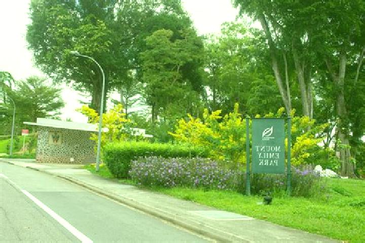 Escorts Mount Emily Park, Singapore — Local Companions