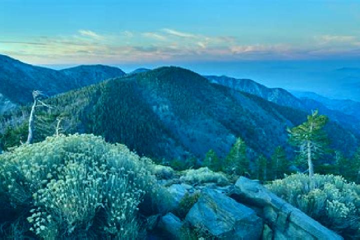 Escorts Mountain Pine, United States — Local Companions