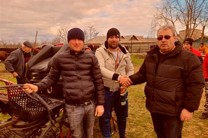 Escorts Movila Miresii, Romania — Local Companions