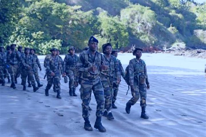 Escorts Mramadoudou, Mayotte — Local Companions