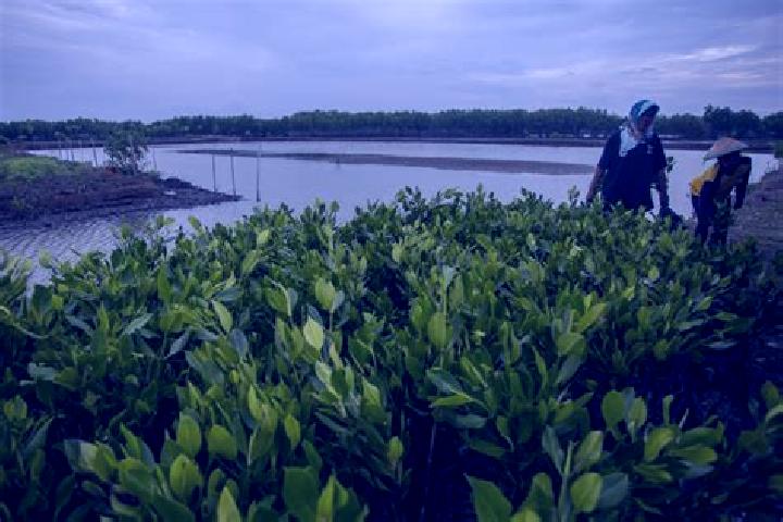 Escorts Muara Bungo, Indonesia — Local Companions