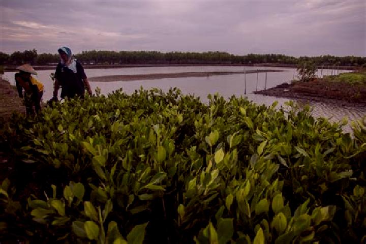 Escorts Muara Limun, Indonesia — Local Companions