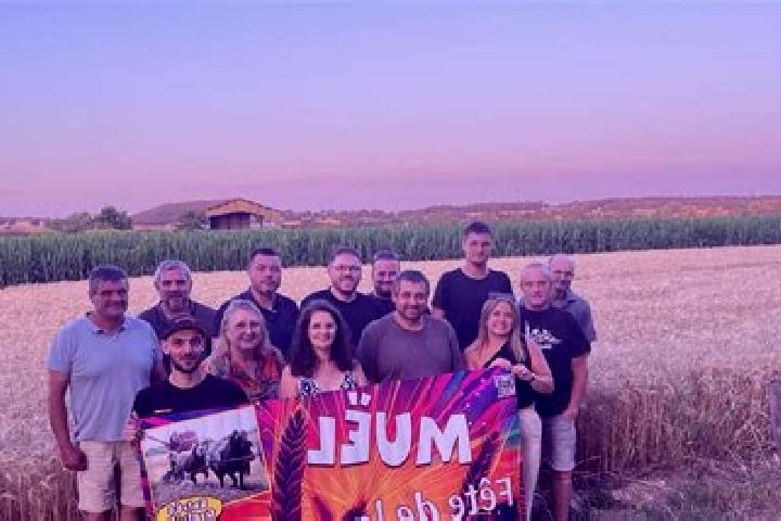 Escorts Muel, France — Local Companions