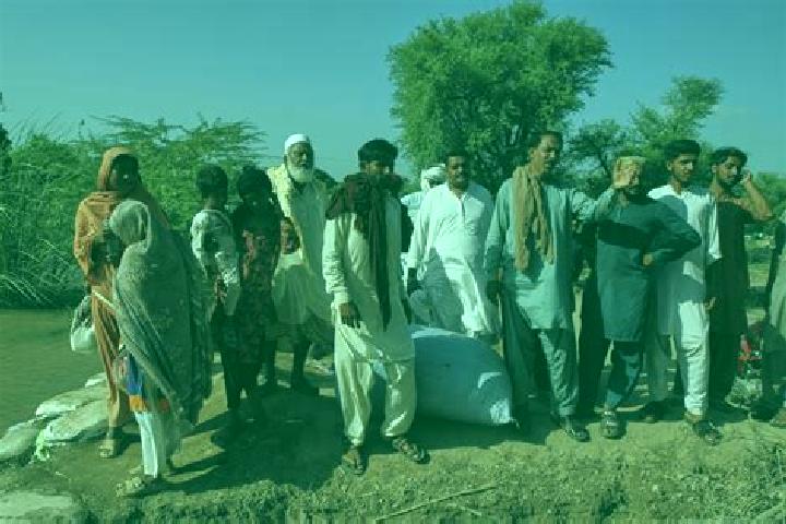 Escorts Muhammad Pur, Pakistan — Local Companions