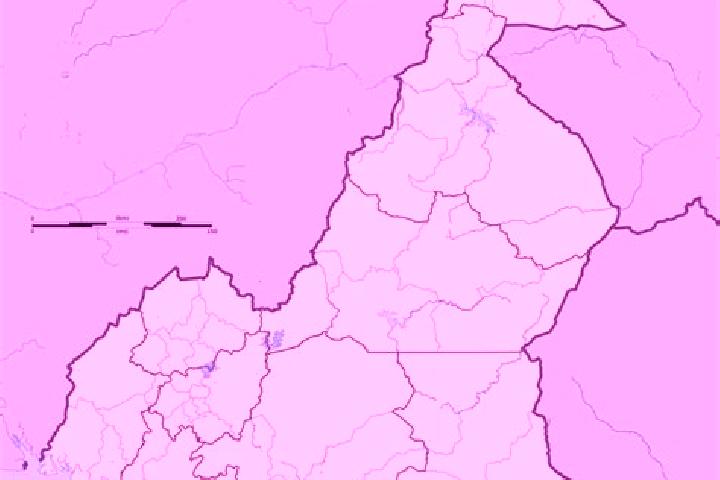 Escorts Mundemba, Cameroon — Local Companions