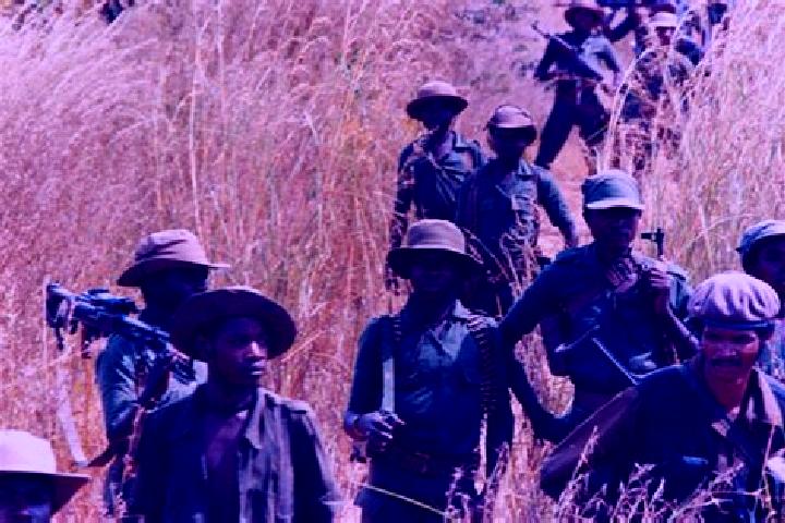 Escorts Munhango, Angola — Local Companions