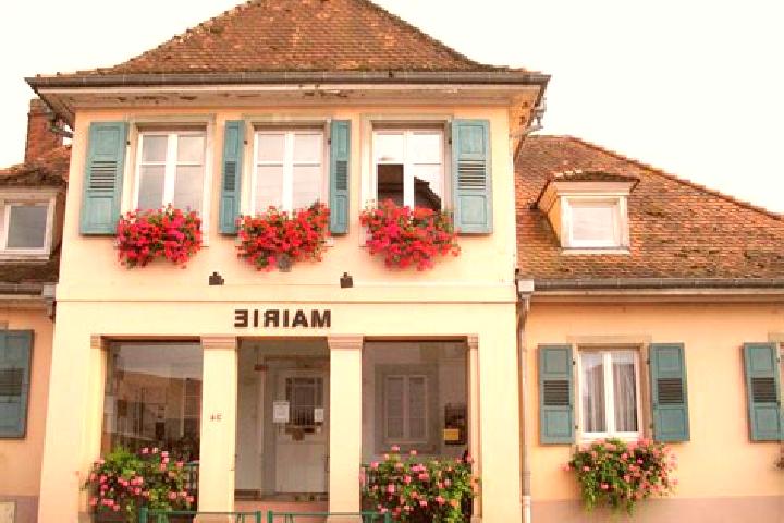 Escorts Muntzenheim, France — Local Companions