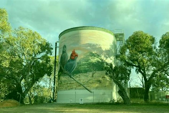 Escorts Murrumbateman, Australia — Local Companions
