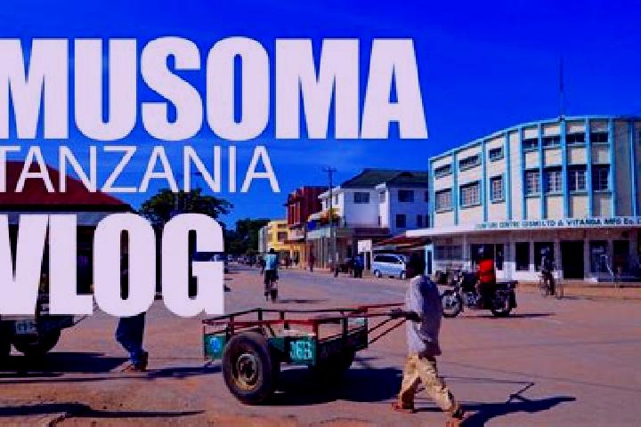 Escorts Musoma, Tanzania — Local Companions