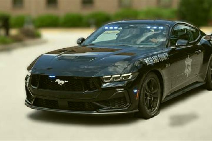 Escorts Mustang, United States — Local Companions