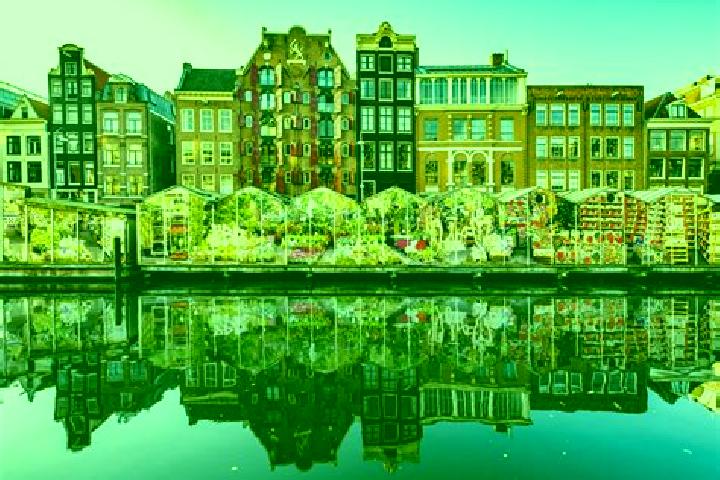 Escorts Naaldwijk, Netherlands — Local Companions