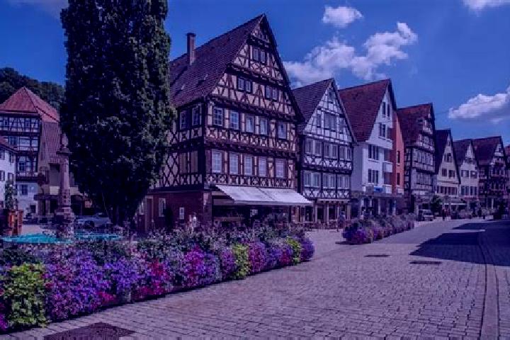 Escorts Nagold, Germany — Local Companions