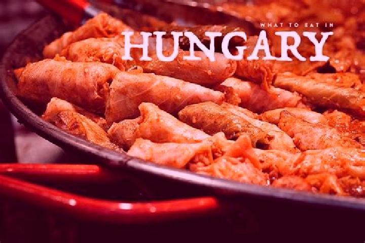 Escorts Nagyfueged, Hungary — Local Companions