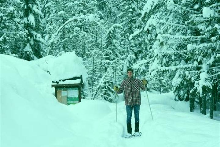 Escorts Nakusp, Canada — Local Companions