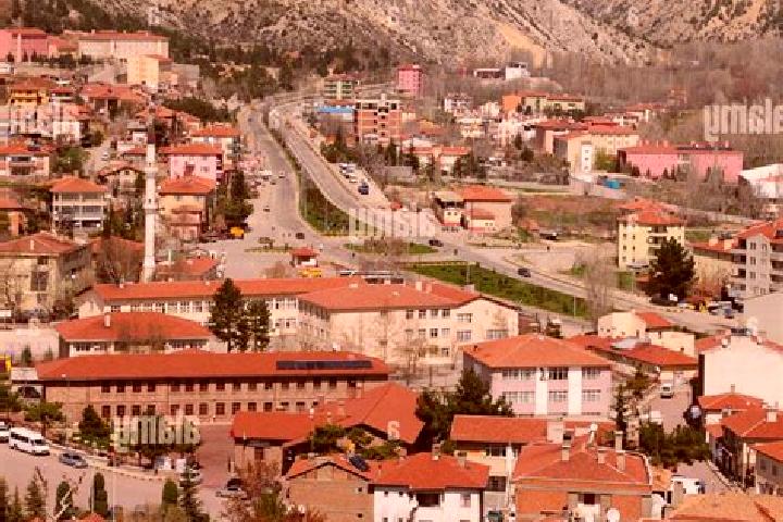 Escorts Nallihan, Turkey — Local Companions